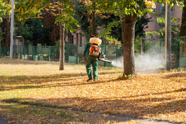 Wasp Removal Services in Springmont, PA