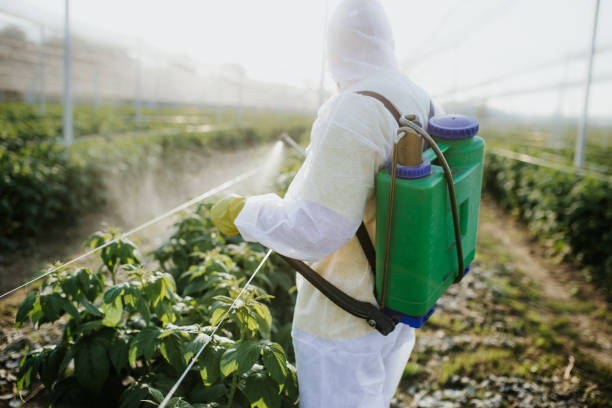 Best Pest Inspection Near Me  in Springmont, PA